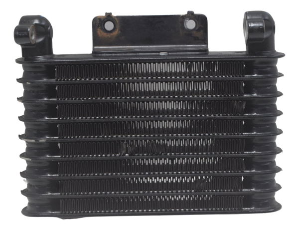 Radiador Honda Xre 300 19-25 Original
