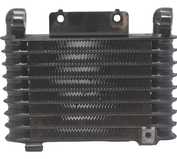 Radiador Honda Xre 300 19-25 Original