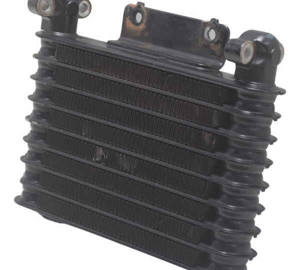 Radiador Honda Xre 300 19-25 Original