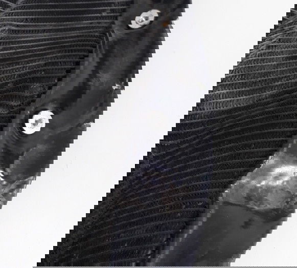 Radiador Kawasaki H2 Original Para Recuperar 1589