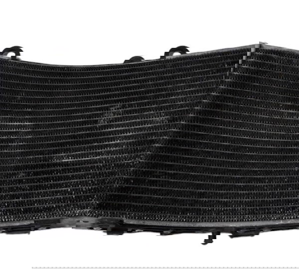 Radiador Agua Bmw F850 Gs Orig 46032