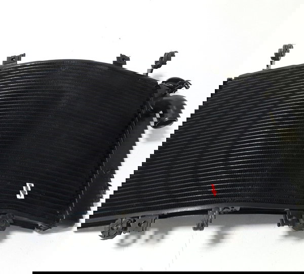 Radiador Agua Suzuki B-king Orig Detalhe 45398