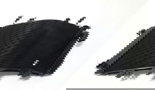 Radiador Agua Suzuki B-king Orig Detalhe 45398