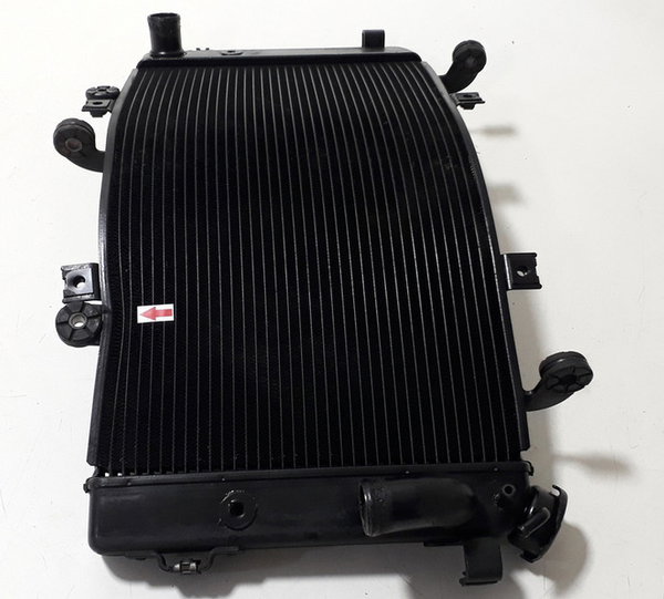 Radiador Agua Suzuki B-king Orig Detalhe 45398