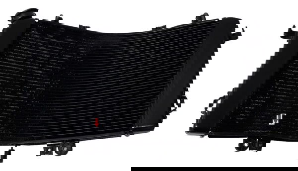 Radiador Agua Suzuki B-king Orig Detalhe 45398