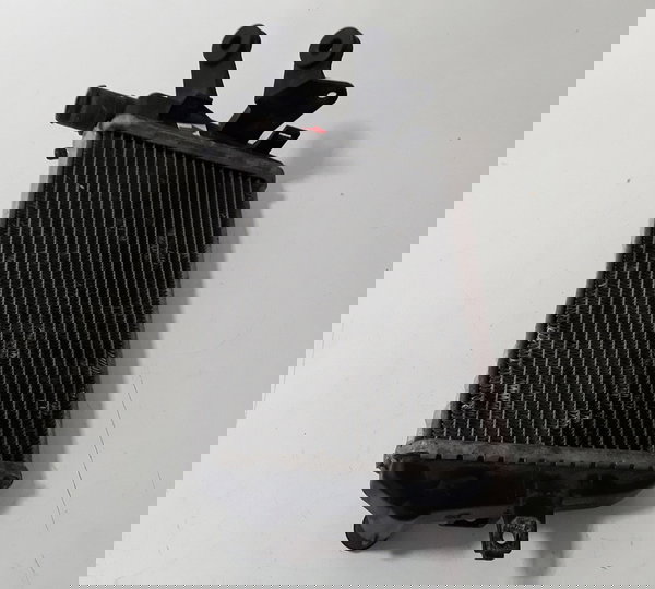 Radiador Agua Bmw R1200 Gs 13/19 L/e Orig Detalhes 44668