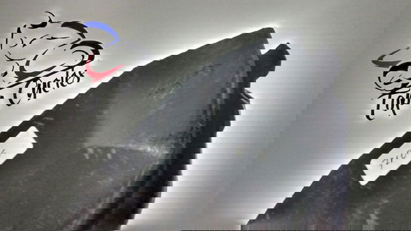 Acabamento Painelcb Twister 250 Origi.. (7105)