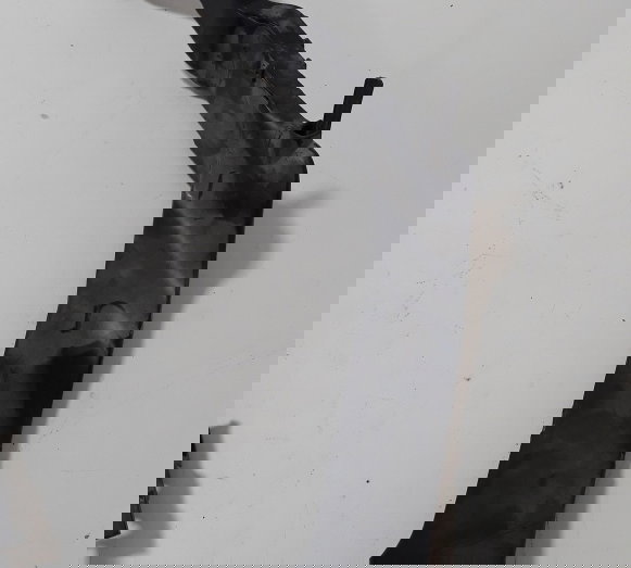 Capa Chicote Honda Cbr 600rr 07/12 Orig 36275