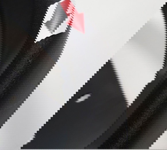 Carenagem Acabamento Painel N-max 160 21/22 Orig 31908