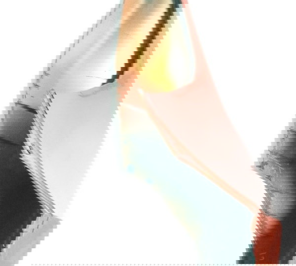 Par Rabeta Zx 10 2010 Para Recuperar (9203)