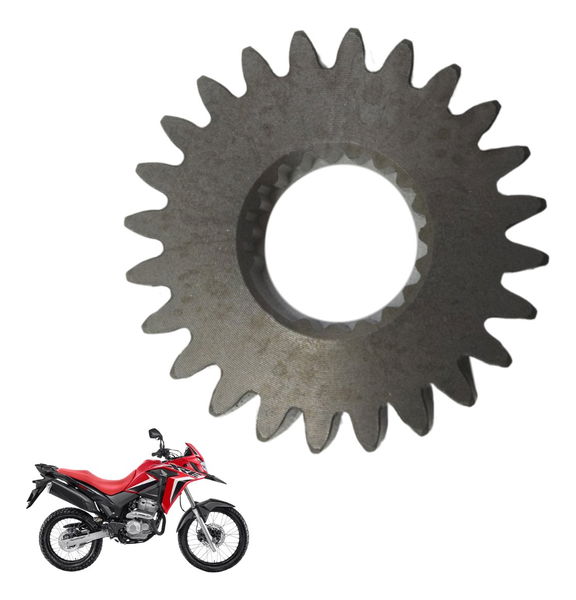 Engrenagem Virabrequim Honda Xre 300 19-25 Original