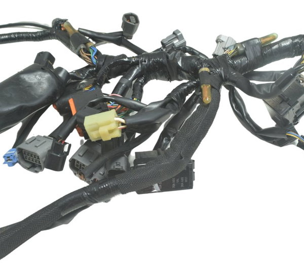 Chicote Principal C/ Avaria Kawasaki Ninja 400 19-23 Orig