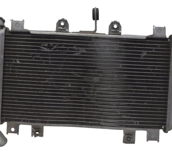 Radiador C/ Detalhes Kawasaki Ninja 400 19-23 Original