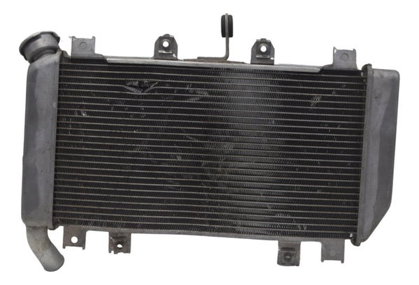 Radiador C/ Detalhes Kawasaki Ninja 400 19-23 Original