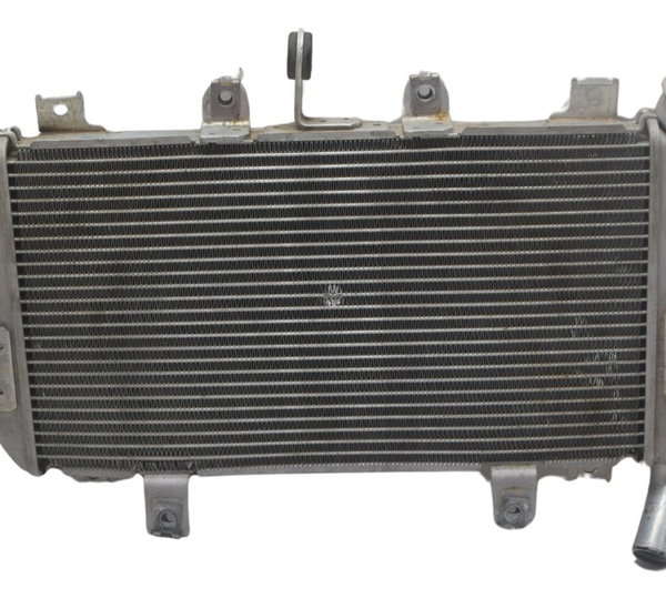 Radiador C/ Detalhes Kawasaki Ninja 400 19-23 Original