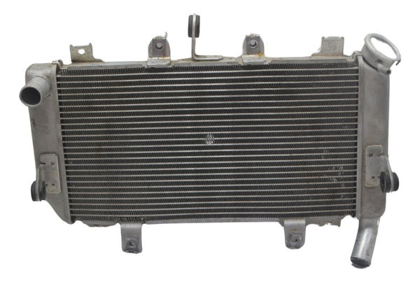 Radiador C/ Detalhes Kawasaki Ninja 400 19-23 Original