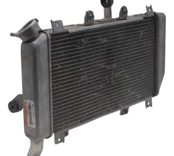 Radiador C/ Detalhes Kawasaki Ninja 400 19-23 Original