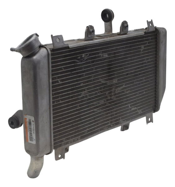 Radiador C/ Detalhes Kawasaki Ninja 400 19-23 Original