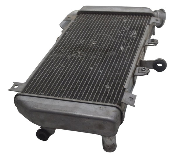 Radiador C/ Detalhes Kawasaki Ninja 400 19-23 Original