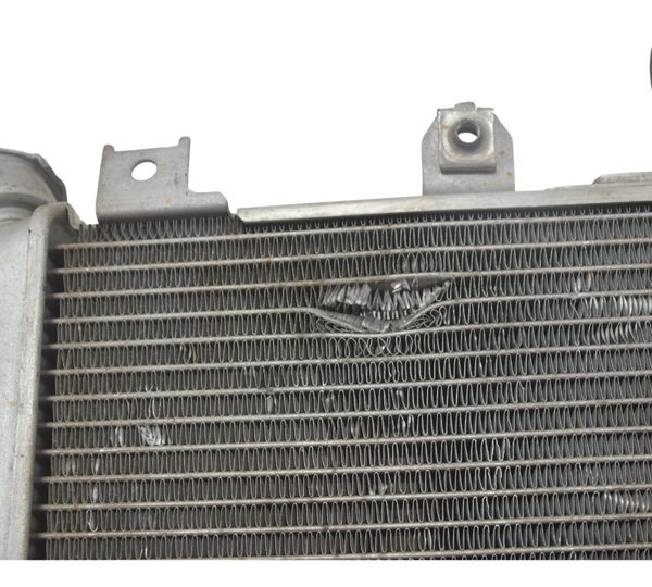 Radiador C/ Detalhes Kawasaki Ninja 400 19-23 Original