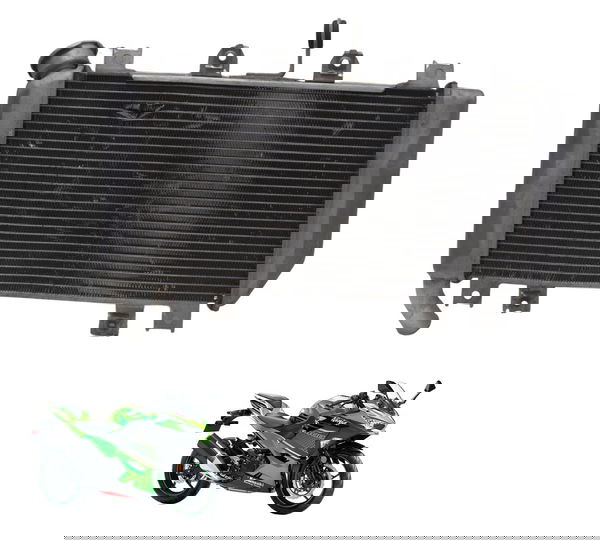 Radiador C/ Detalhes Kawasaki Ninja 400 19-23 Original