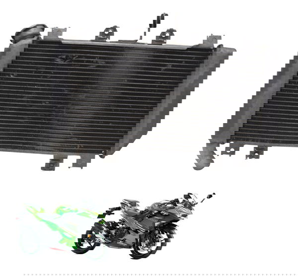 Radiador C/ Detalhes Kawasaki Ninja 400 19-23 Original
