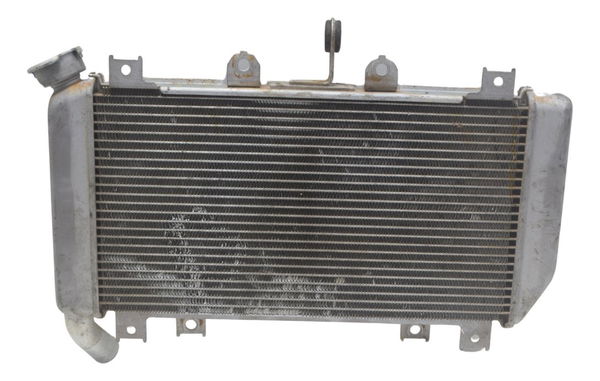 Radiador Kawasaki Ninja 400 19-23 Original