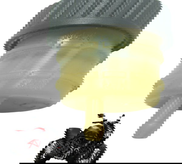 Reservatório Freio Traseiro Ducati Diavel Carbon 11-14 Orig