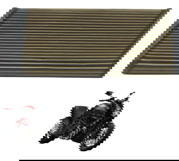 Filtro Ar Ducati Diavel Carbon 11-14 Original