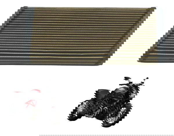 Filtro Ar Ducati Diavel Carbon 11-14 Original