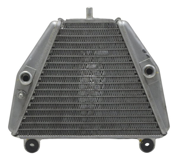 Radiador Óleo Ducati Panigale V4s 19-24 Original