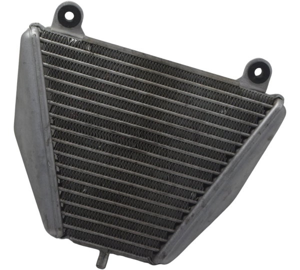 Radiador Óleo Ducati Panigale V4s 19-24 Original