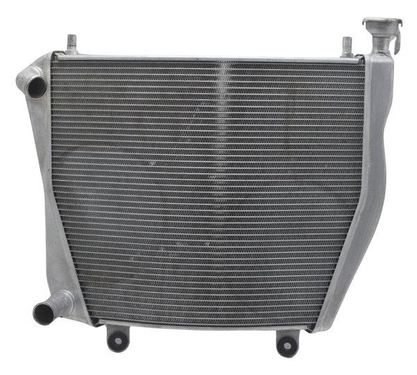 Radiador Ducati Panigale V4s 19-24 Original