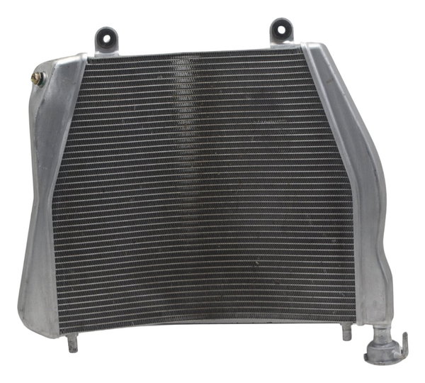 Radiador Ducati Panigale V4s 19-24 Original