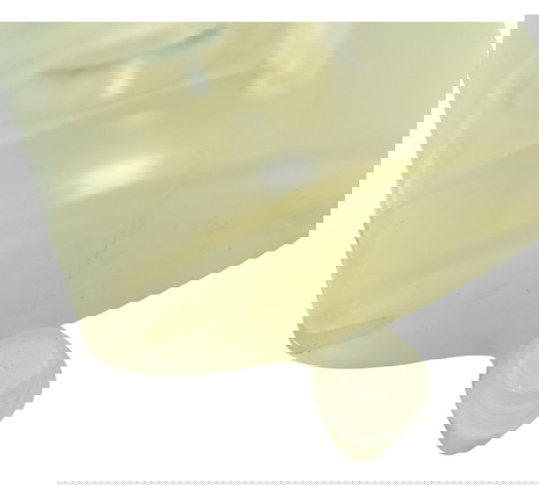 Reservatório Freio Diant Ducati Panigale V4s 19-24 Original