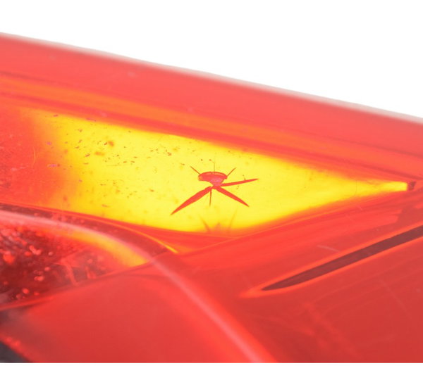 Lanterna Traseira C/ Detalhes Ducati Panigale V4s 19-24 Orig Ambos Lados Vermelho