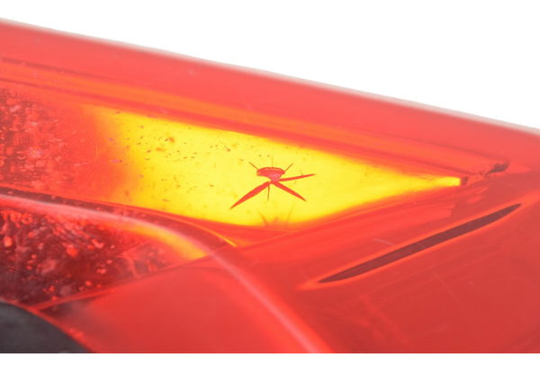 Lanterna Traseira C/ Detalhes Ducati Panigale V4s 19-24 Orig