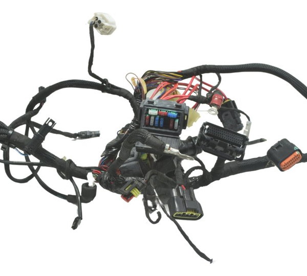 Chicote Principal Ducati Panigale V4s 19-24 Original