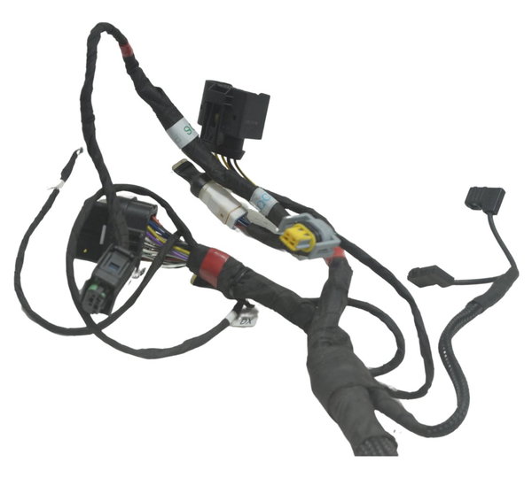 Chicote Principal Ducati Panigale V4s 19-24 Original