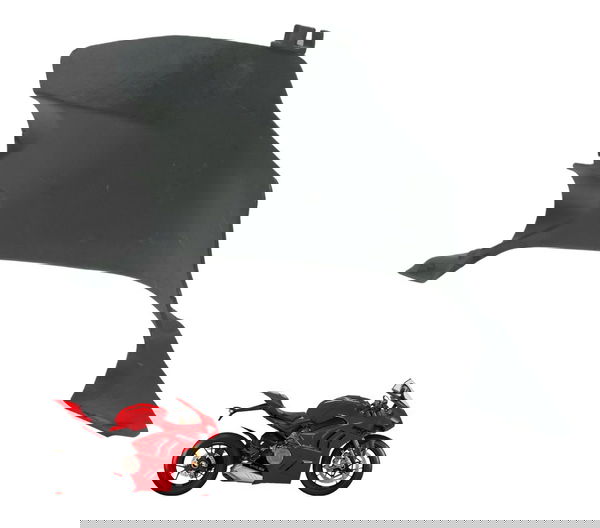 Capa Carenagem Esquerda Ducati Panigale V4s 19-24 Original