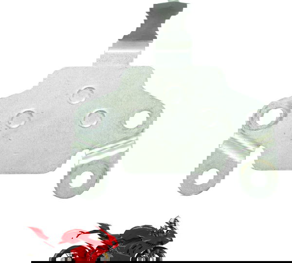 Suporte Ducati Panigale V4s 19-24 Original