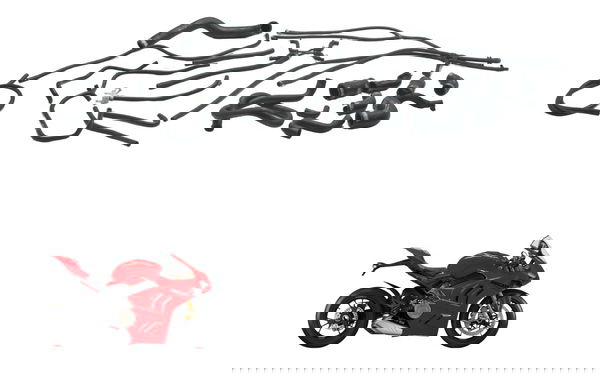 Kit Mangueiras Ducati Panigale V4s 19-24 Original