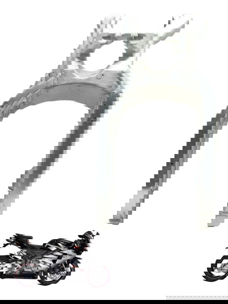 Quadro Elástico Honda Cbr 600 Rr 05-06 Original