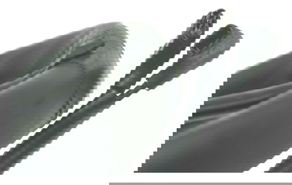 Chave Punho Luz Honda Cbr 600 Rr 05-06 Original