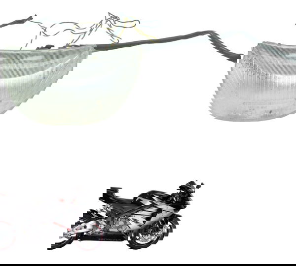 Lanterna Traseira Honda Cbr 600 Rr 05-06 Original Ambos Lados