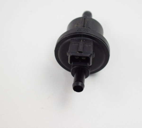 Filtro Canister Triumph Tiger 800 Original