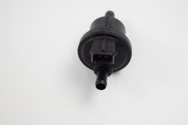 Filtro Canister Triumph Tiger 800 Original