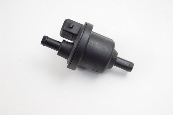 Filtro Canister Triumph Tiger 800 Original