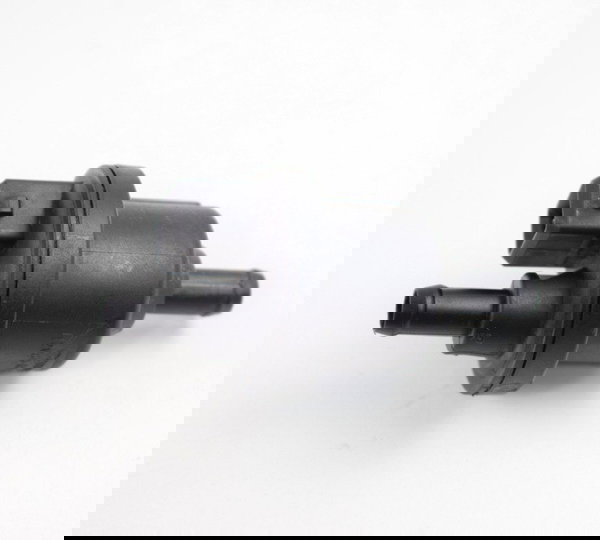 Filtro Canister Triumph Tiger 800 Original