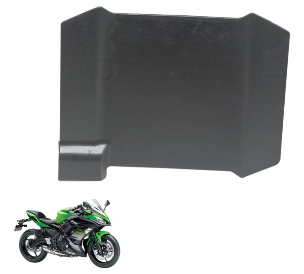 Tampa Paralama Traseiro Kawasaki Ninja 650 R 17-22 Original